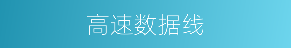 高速数据线的同义词