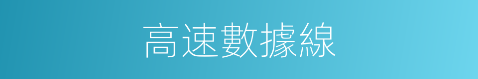 高速數據線的同義詞