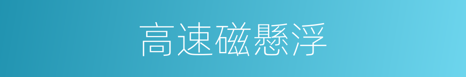 高速磁懸浮的同義詞