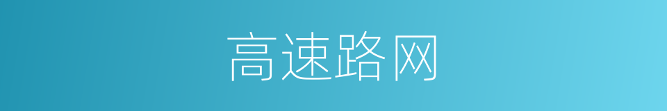 高速路网的同义词