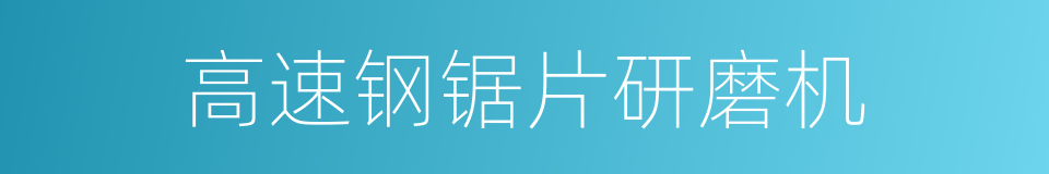 高速钢锯片研磨机的同义词
