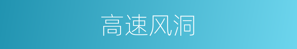 高速风洞的同义词