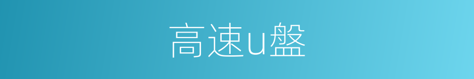 高速u盤的同義詞