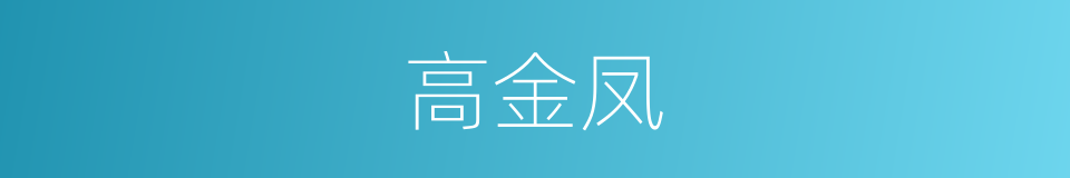 高金凤的同义词