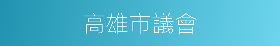 高雄市議會的同義詞