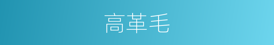 高革毛的同义词