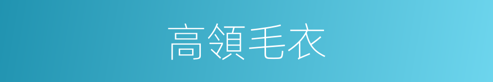 高領毛衣的同義詞
