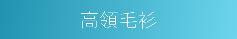 高領毛衫的同義詞