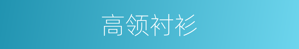 高领衬衫的同义词