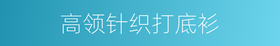 高领针织打底衫的同义词