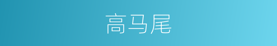 高马尾的同义词