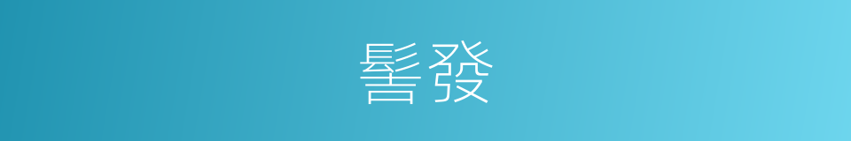 髻發的意思