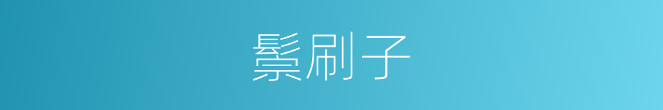 鬃刷子的同义词