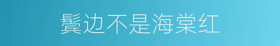 鬓边不是海棠红的同义词
