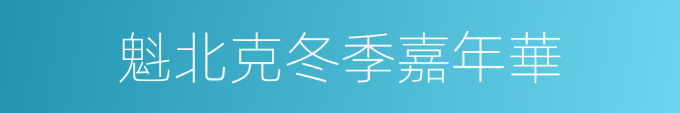 魁北克冬季嘉年華的同義詞