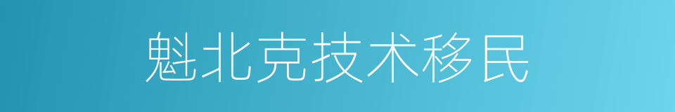 魁北克技术移民的同义词