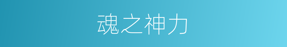魂之神力的同义词