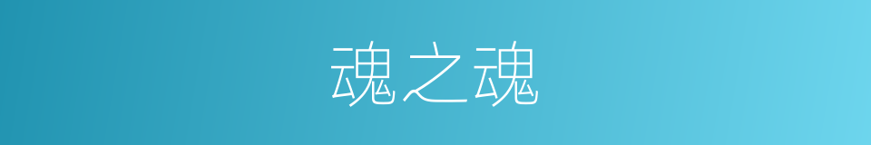 魂之魂的同义词