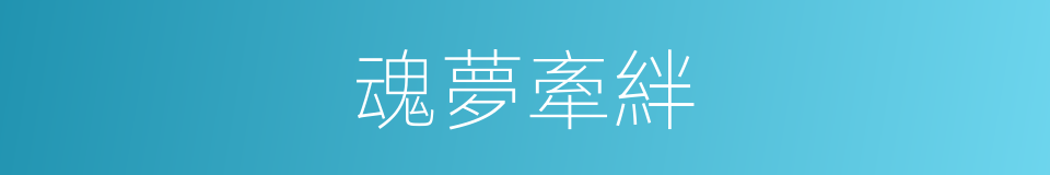 魂夢牽絆的同義詞