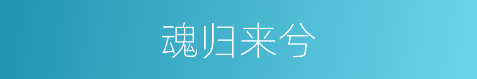 魂归来兮的同义词