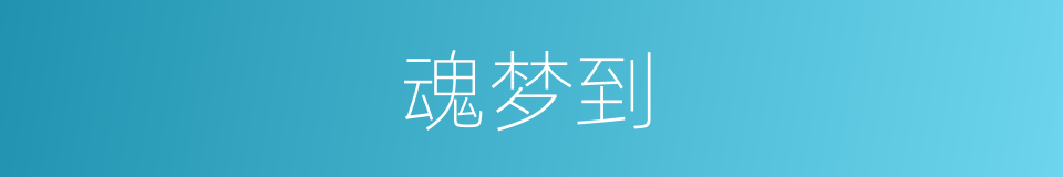 魂梦到的同义词