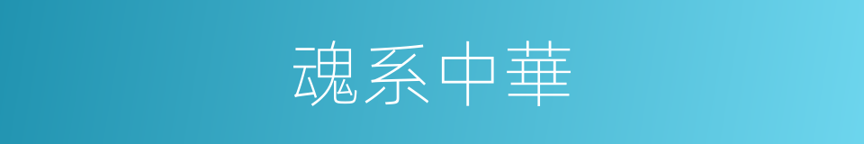 魂系中華的同義詞