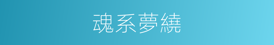 魂系夢繞的同義詞