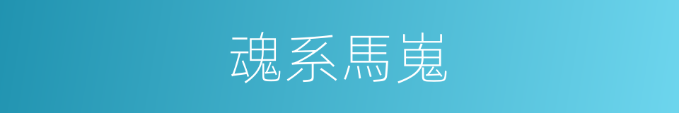 魂系馬嵬的同義詞