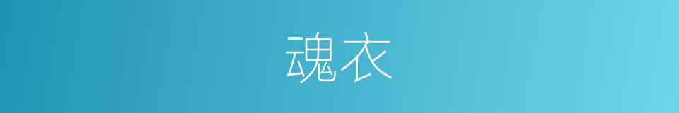 魂衣的意思