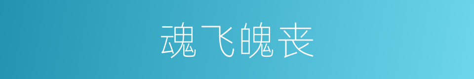 魂飞魄丧的意思