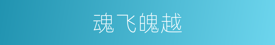 魂飞魄越的意思