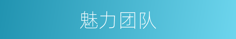 魅力团队的同义词