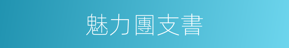 魅力團支書的同義詞
