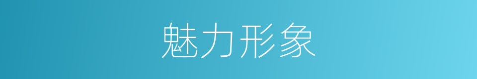 魅力形象的同义词