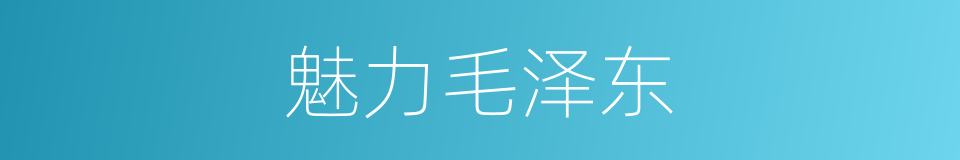 魅力毛泽东的同义词