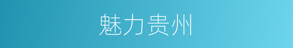 魅力贵州的同义词