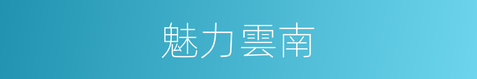 魅力雲南的同義詞