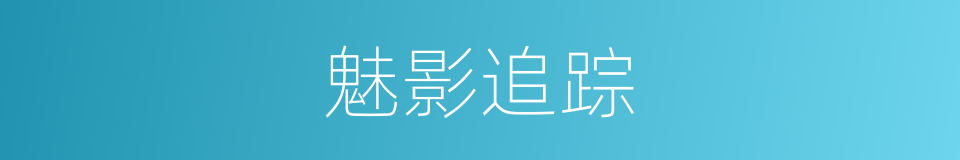 魅影追踪的同义词