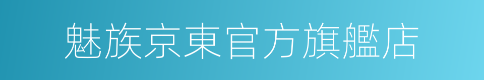 魅族京東官方旗艦店的同義詞