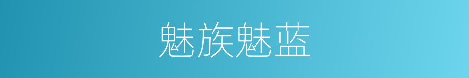 魅族魅蓝的同义词