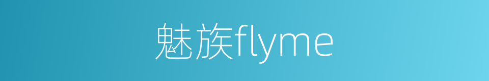 魅族flyme的同义词