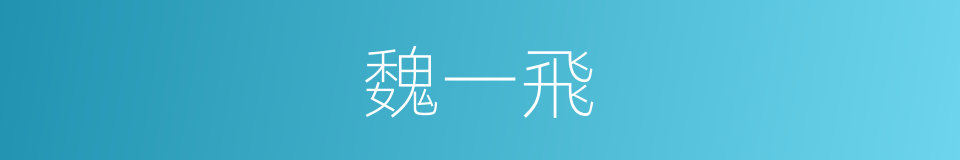 魏一飛的同義詞