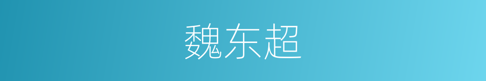 魏东超的同义词