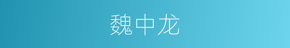 魏中龙的同义词