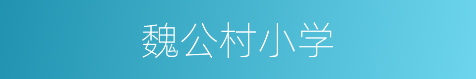 魏公村小学的同义词