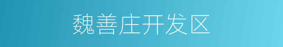 魏善庄开发区的同义词