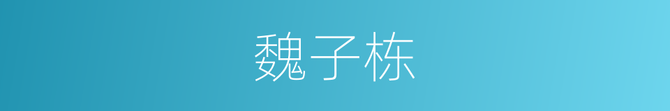 魏子栋的同义词