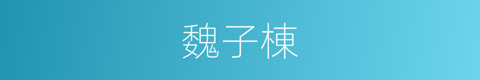 魏子棟的同義詞