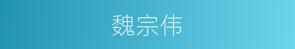 魏宗伟的同义词