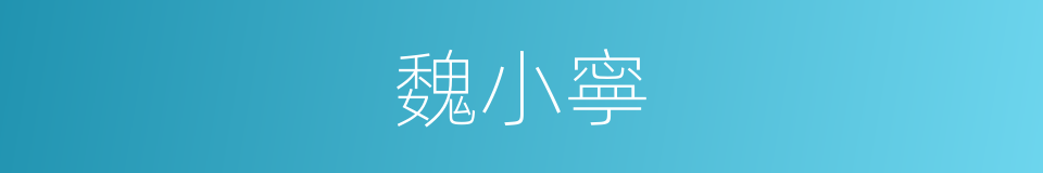 魏小寧的同義詞